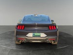 2024 Mustang Thumbnail 8