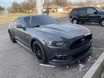 2017 Mustang Thumbnail 4