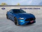 2019 Mustang Thumbnail 1