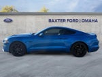 2019 Mustang Thumbnail 2