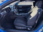 2019 Mustang Thumbnail 15