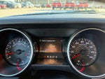 2019 Mustang Thumbnail 17