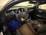 2019 Mustang Thumbnail 6