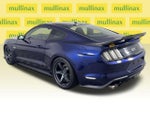 2019 Mustang Thumbnail 10