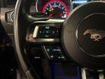 2019 Mustang Thumbnail 18