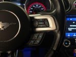 2019 Mustang Thumbnail 19