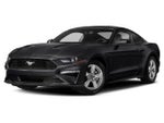 2019 Mustang Thumbnail 1