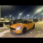 2019 Mustang Thumbnail 2