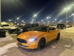 2019 Mustang Thumbnail 2