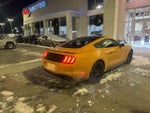 2019 Mustang Thumbnail 4