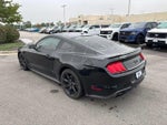 2020 Mustang Thumbnail 4