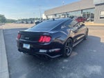 2021 Mustang Thumbnail 8