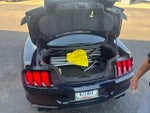 2021 Mustang Thumbnail 10