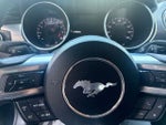 2021 Mustang Thumbnail 17