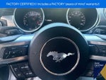 2021 Mustang Thumbnail 19