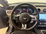 2021 Mustang Thumbnail 12