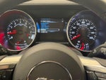 2021 Mustang Thumbnail 18