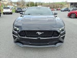 2021 Mustang Thumbnail 7