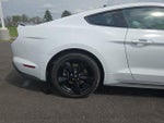 2021 Mustang Thumbnail 7