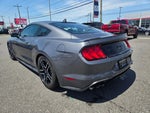 2021 Mustang Thumbnail 7