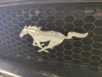 2021 Mustang Thumbnail 13