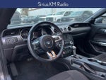 2022 Mustang Thumbnail 10