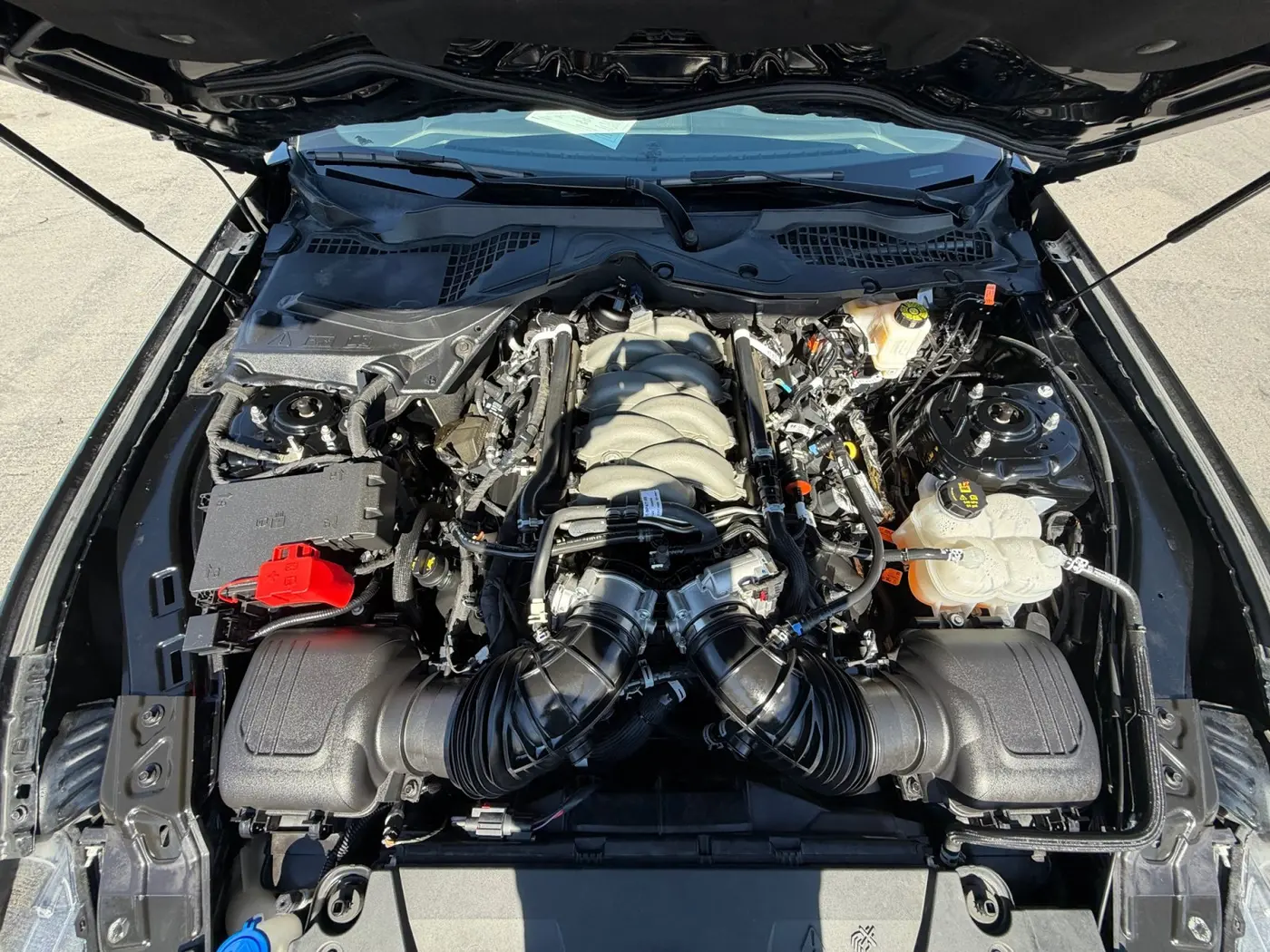 2024 Ford Mustang - $43,281