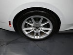 2025 Mustang Thumbnail 20