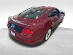 2015 Mustang Thumbnail 7