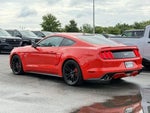 2016 Mustang Thumbnail 13