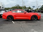 2016 Mustang Thumbnail 16