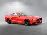 2016 Mustang Thumbnail 3