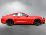 2016 Mustang Thumbnail 10