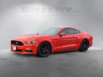2016 Mustang Thumbnail 17