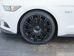 2016 Mustang Thumbnail 6
