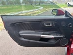 2016 Mustang Thumbnail 14