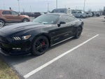 2017 Mustang Thumbnail 2