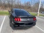 2017 Mustang Thumbnail 11