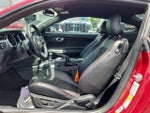 2017 Mustang Thumbnail 15