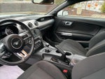 2018 Mustang Thumbnail 15