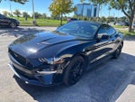 2019 Mustang Thumbnail 1