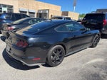 2019 Mustang Thumbnail 3