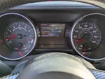 2019 Mustang Thumbnail 15