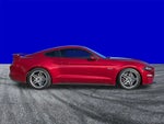 2019 Mustang Thumbnail 18