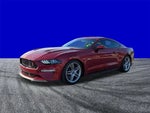 2019 Mustang Thumbnail 25