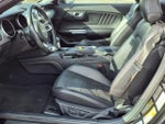 2021 Mustang Thumbnail 4