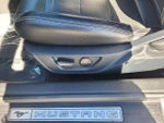 2021 Mustang Thumbnail 19