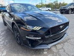 2021 Mustang Thumbnail 11