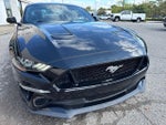 2021 Mustang Thumbnail 12