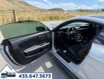 2017 Mustang Thumbnail 12